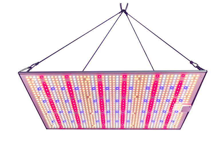 Cut Long-Term Operating Costs in Your Grow Facility with LED Grow Lights!